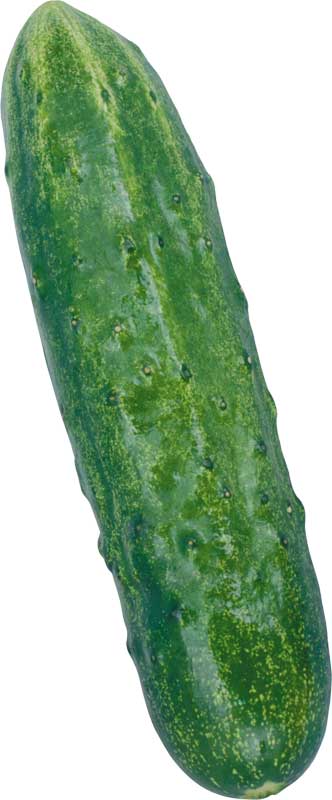 Resmi Bytmek in Tklaynz