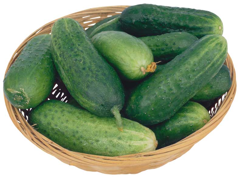 Resmi Bytmek in Tklaynz