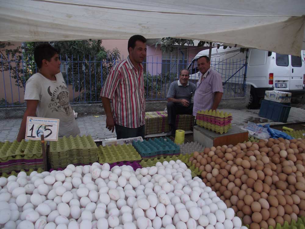 Resmi Bytmek in Tklaynz