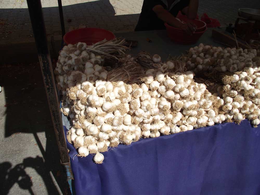 Resmi Bytmek in Tklaynz