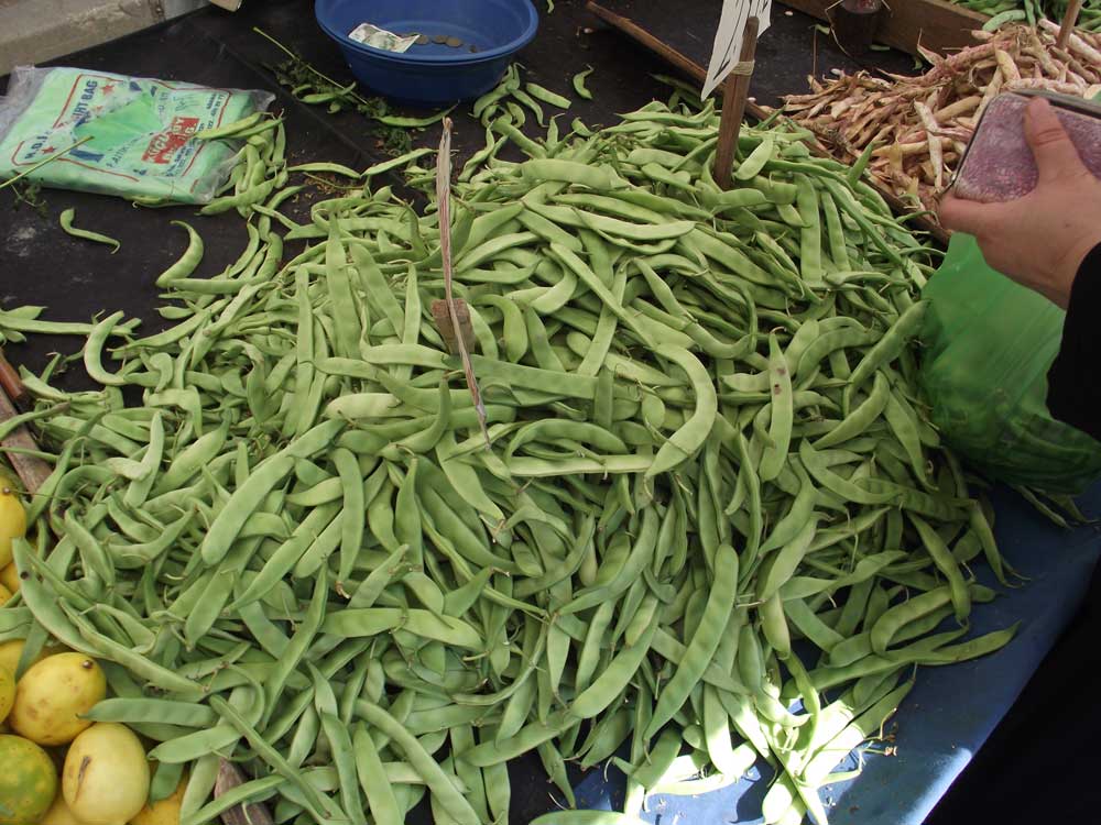 Resmi Bytmek in Tklaynz