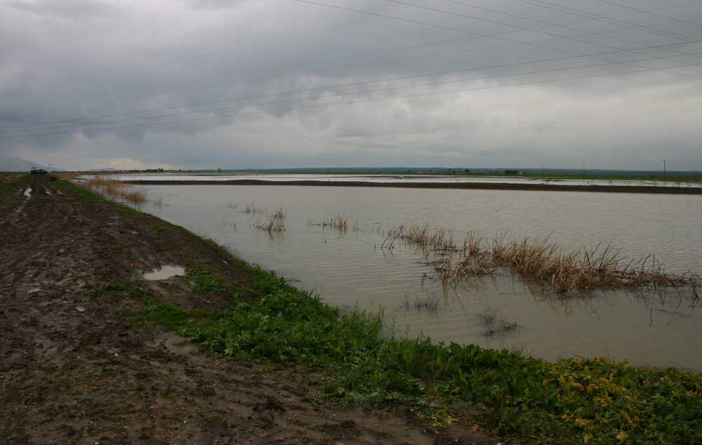 Resmi Bytmek in Tklaynz