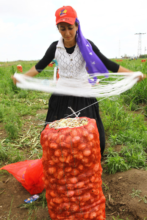 Resmi Bytmek in Tklaynz