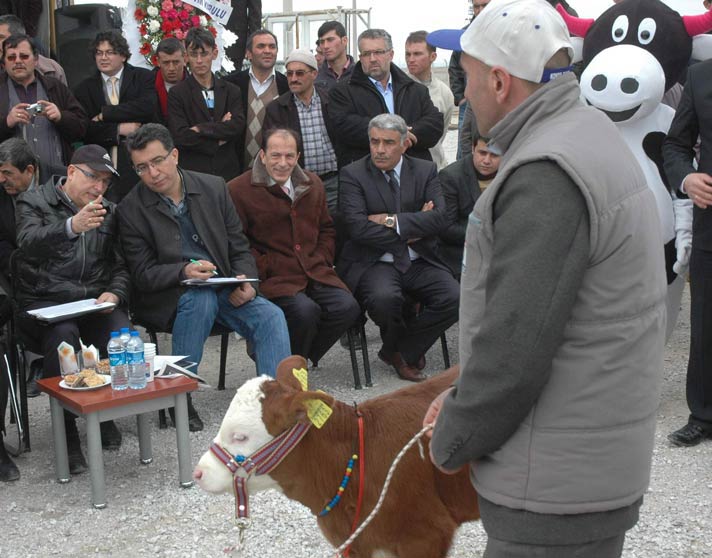 Resmi Bytmek in Tklaynz