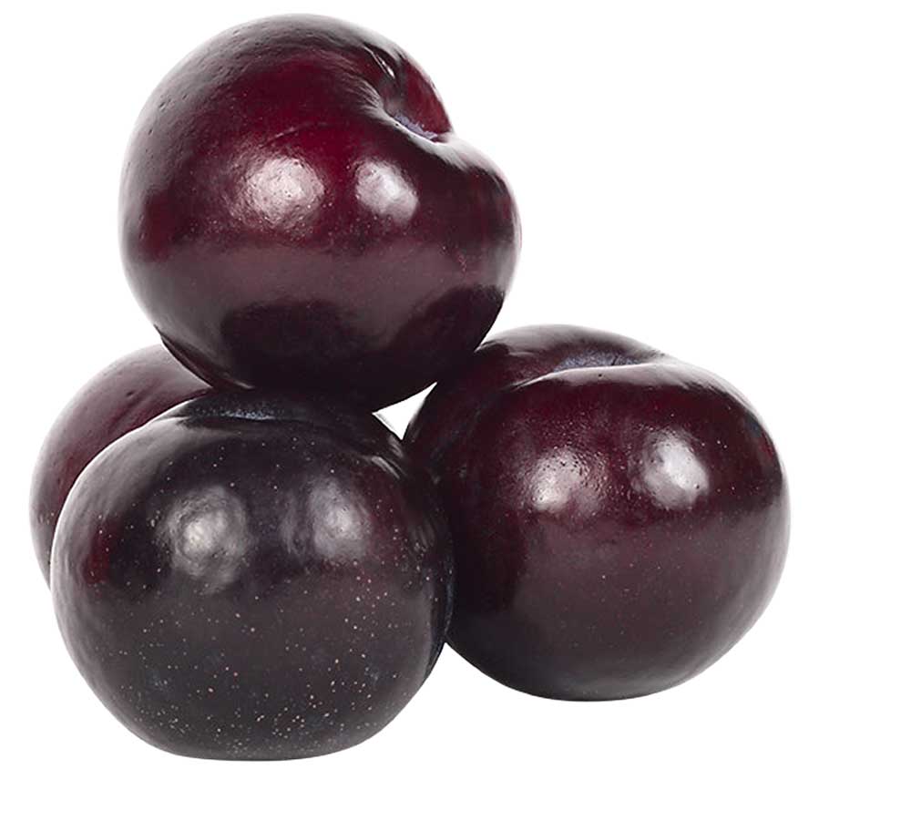 Resmi Bytmek in Tklaynz