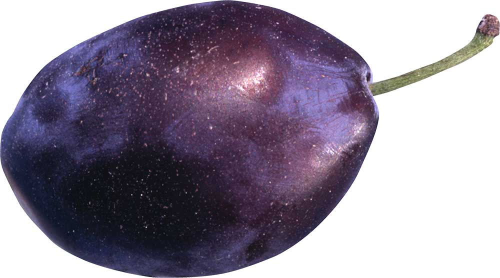 Resmi Bytmek in Tklaynz