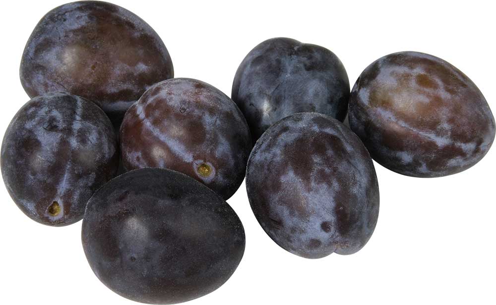 Resmi Bytmek in Tklaynz