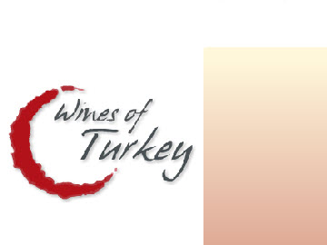 arap turkiye logo