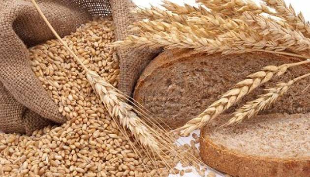 Trkiyede ylda 700 bin ton buday, gnde 6 milyon ekmek israf oluyor