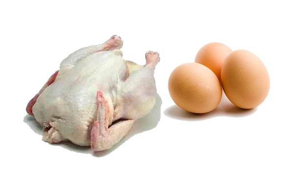 Tavuk eti ve yumurta retimi artt 