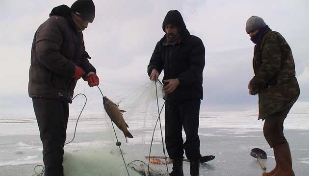 Bin bir zorlukla buzda avlanan sazanlar sofralarda afiyetle yeniliyor