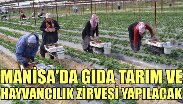 manisa 1. Gda Tarm ve Hayvanclk Zirvesi