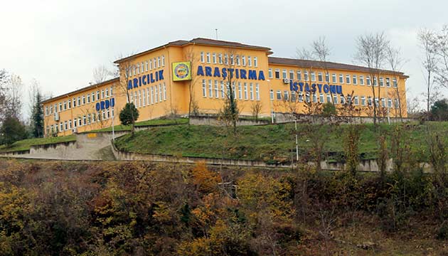 Ordu Arclk Aratrma stasyonu