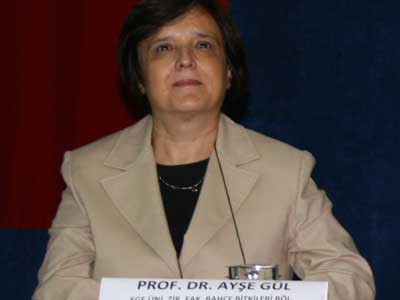 Prof. Dr. Aye Gl