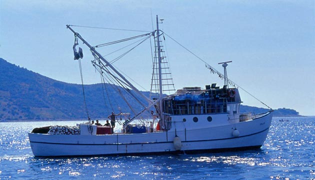 Balk varln korumak iin Karadenizde balk gemileri azaltlyor