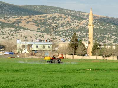Araban