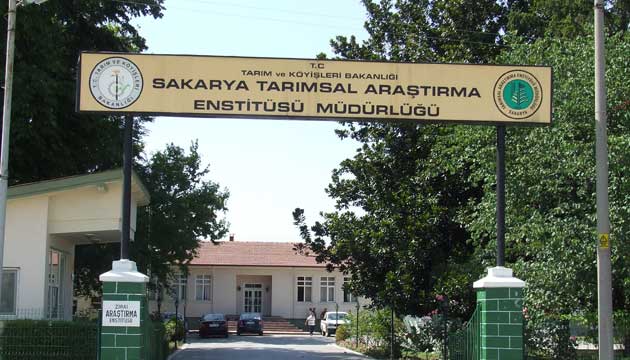 Sakarya Msr Aratrma stasyonu Enstit Mdr Yavuz A, almalar Hakknda Bilgi Verdi