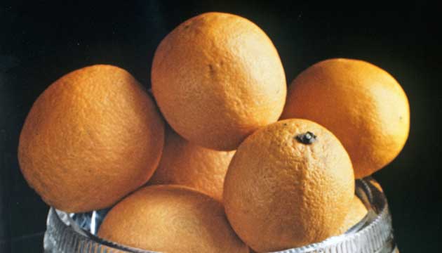 Rusya 25,1 ton portakal Trkiyeye geri gnderdi