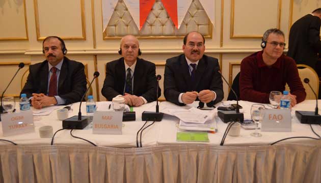 FAO Akdeniz Ormanlar Sorunlar Komitesi 21. Toplants 
