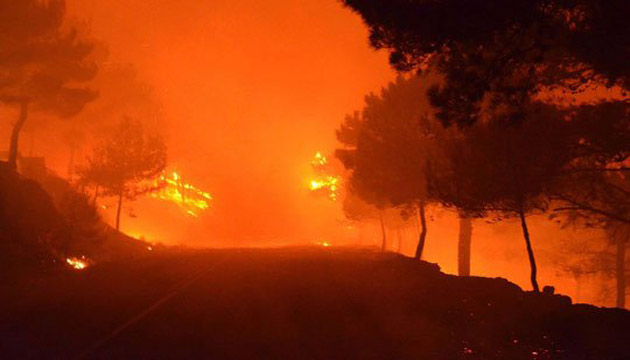 Sakız Adası, üreticinin zararı 4 milyon euro, yangın