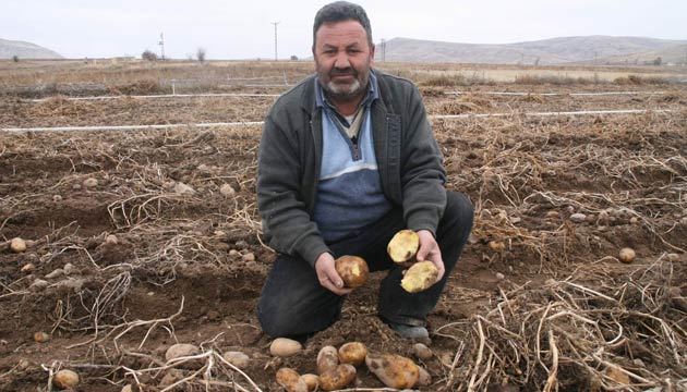 Patates reticileri, Sulamada Kullanlan Elektrik in ndirim stiyor