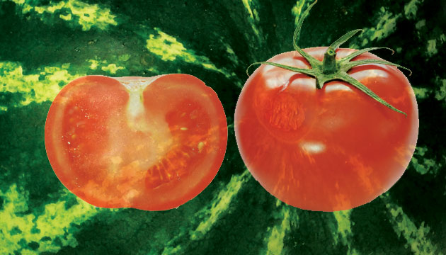 Ramazanda zam ampiyonu karpuz ve domates