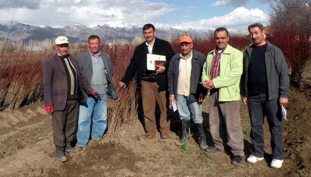 Erzincanda Zerdali Projesi le Sanayi Meyvecilii Geliiyor