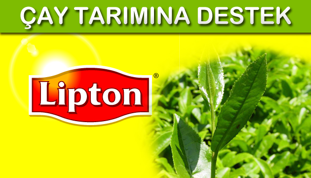 lipton çay tarımına destek veriyor