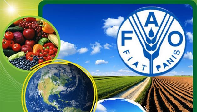 Фао оон. Продовольственная и сельскохозяйственная организация ООН (FAO). Всемирная организация продовольствия (ФАО). ФАО логотип. ФАО воз.